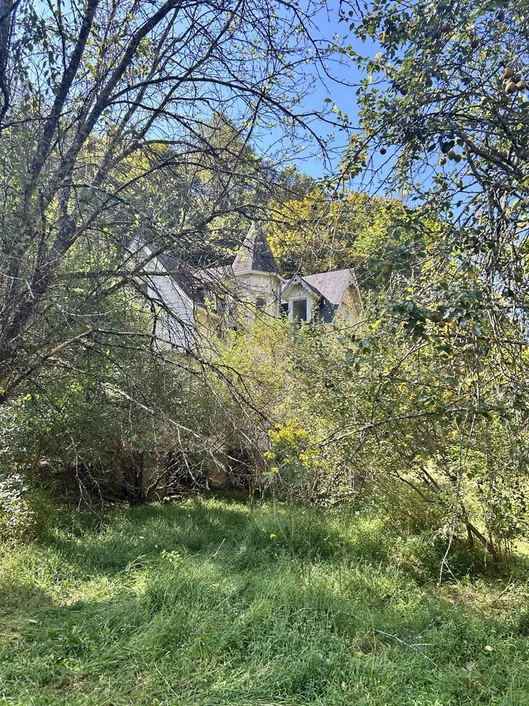 Expert lawn care service for homes across Rowlesburg, WV - Red Rock Tree Service