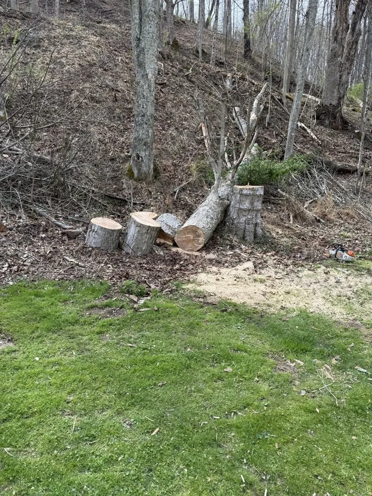 Affordable landscape design in Rowlesburg, WV - Red Rock Tree Service