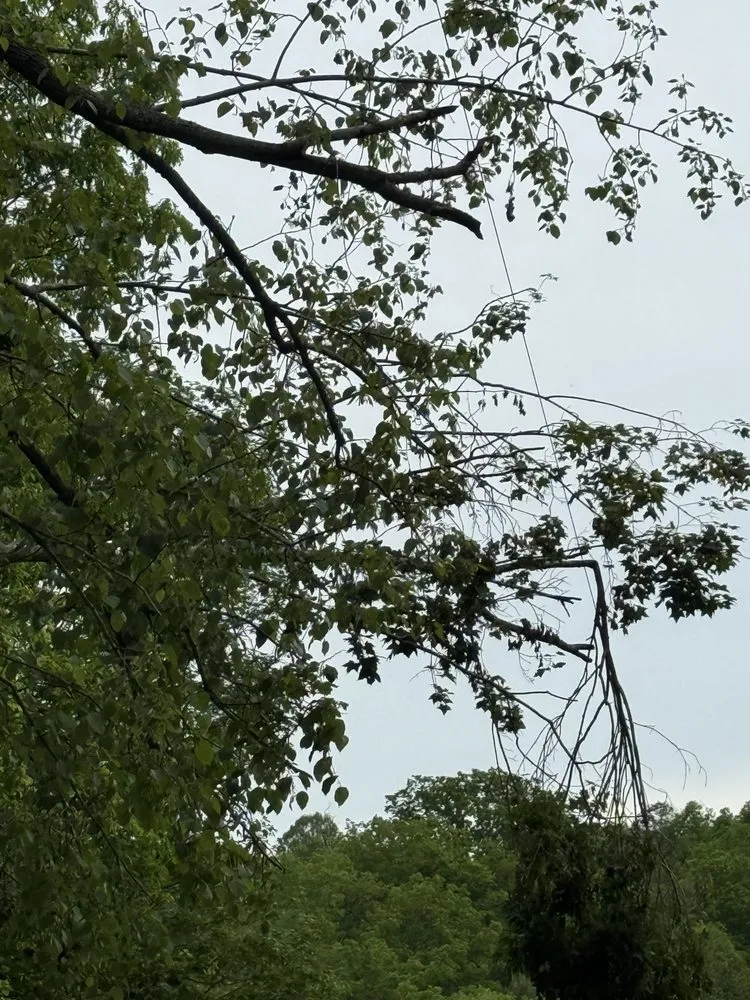 Affordable residential landscaping for residential properties in Rowlesburg, WV by Red Rock Tree Service