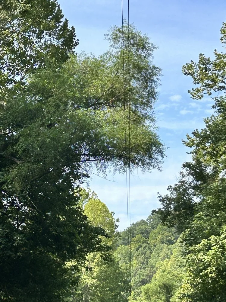 Reliable landscaping services in Rowlesburg, WV by Red Rock Tree Service