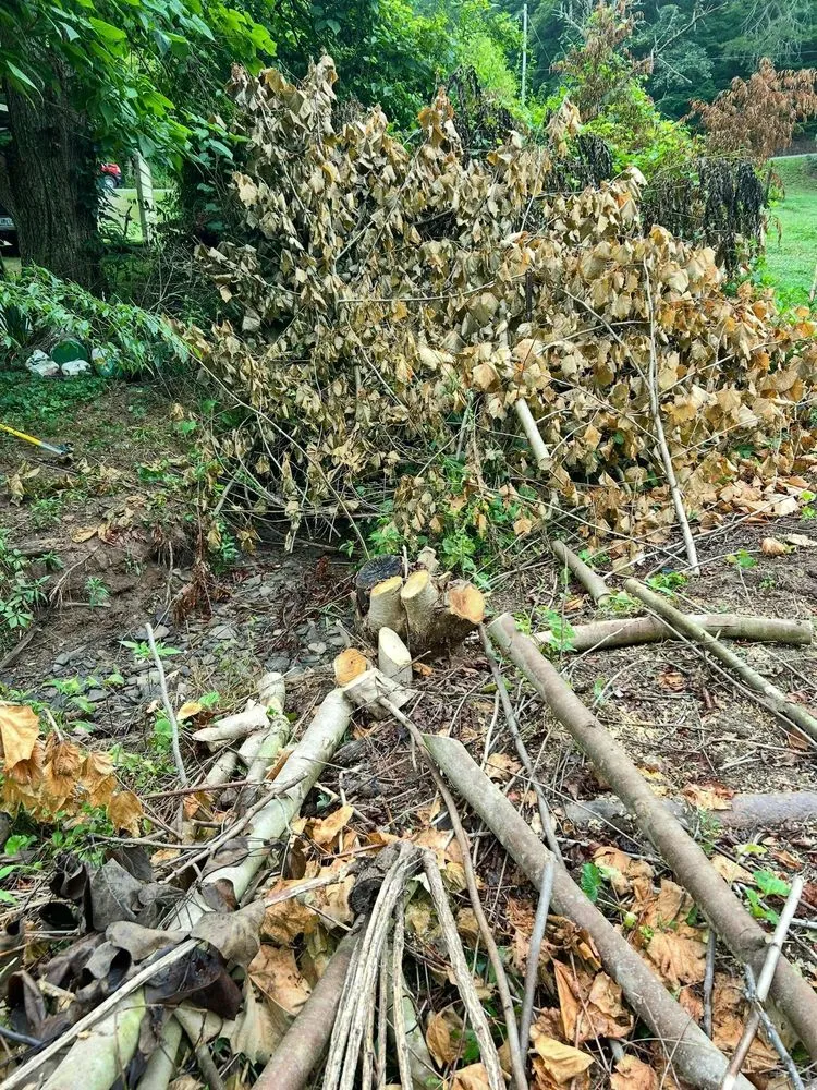 Reliable landscape installation in Rowlesburg, WV by Red Rock Tree Service