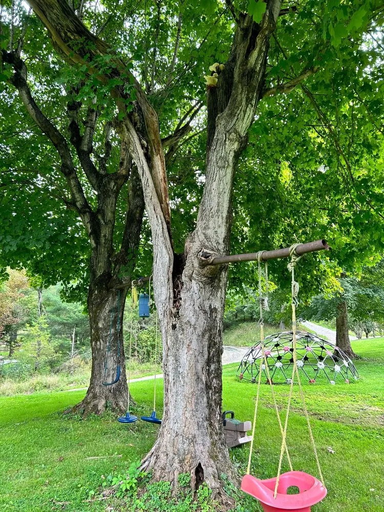 Expert landscaping services in Rowlesburg, WV by Red Rock Tree Service