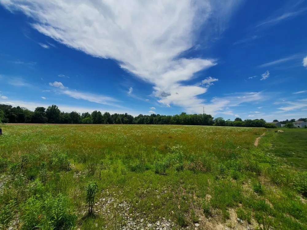 Top-rated landscape design for residential properties across Goshen, OH - Red Rooster Landscaping