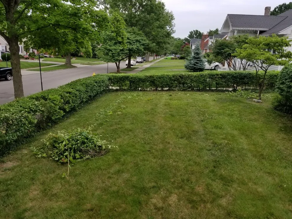 Professional yard maintenance in Goshen, OH by Red Rooster Landscaping