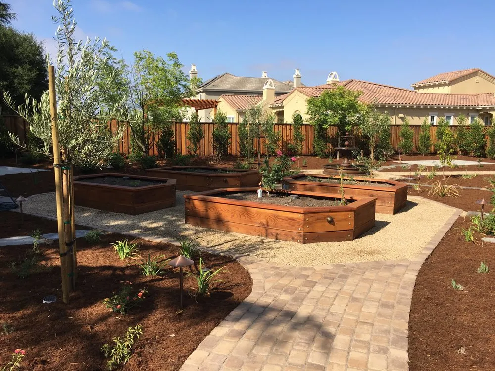 Local yard cleanup service in San Martin, CA - Red Roots Landscape