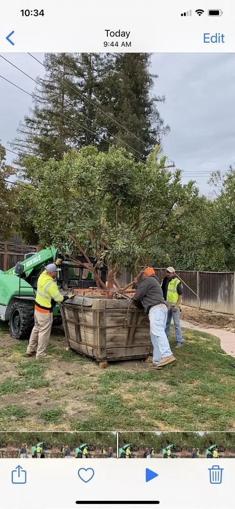 Professional yard cleanup service in San Martin, CA - Red Roots Landscape