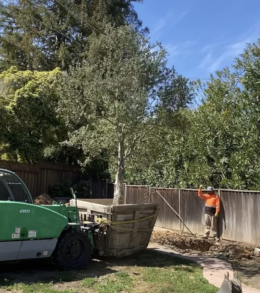 Professional landscape installation experts serving San Martin, CA - Red Roots Landscape