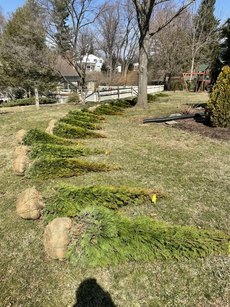 Custom yard maintenance for outdoor upgrades in Wrightsville, PA by Red Rose Landscaping