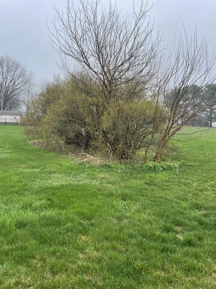 Trusted residential landscaping in Wrightsville, PA by Red Rose Landscaping