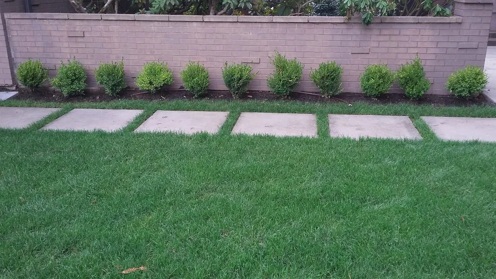 Expert garden landscaping near you in Burien, WA by Red Roses Landscaping 1