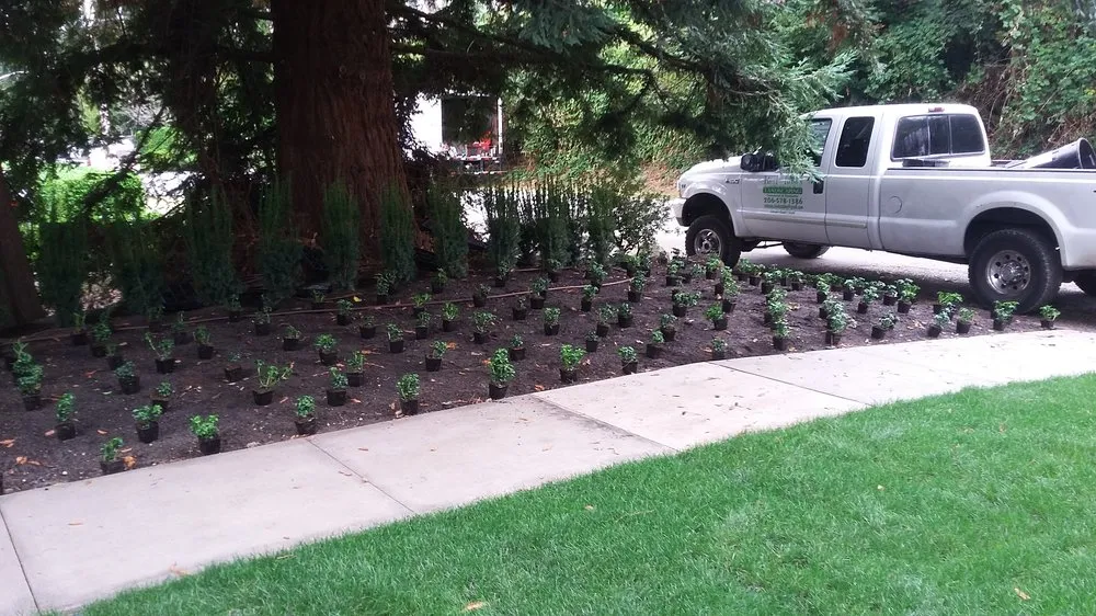 Professional residential landscaping experts serving Burien, WA - Red Roses Landscaping 1