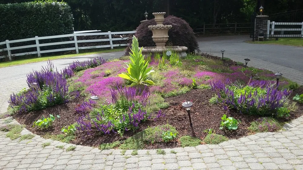 Professional yard cleanup service in Burien, WA by Red Roses Landscaping 1