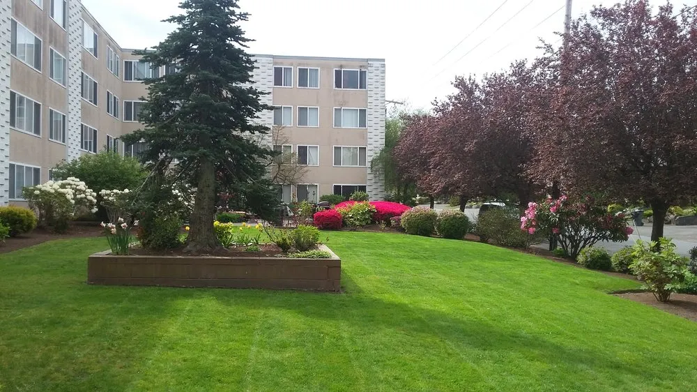 Custom yard cleanup service in Burien, WA by Red Roses Landscaping 1
