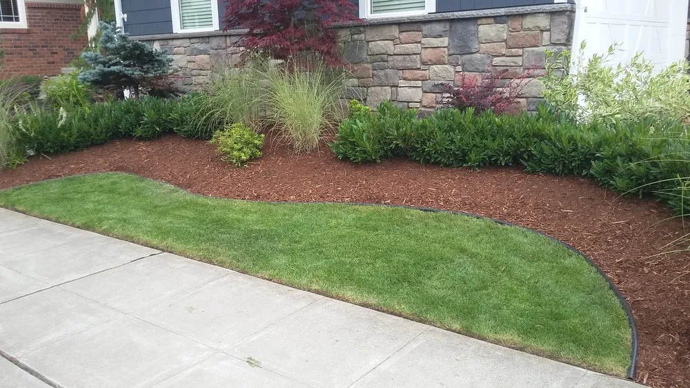 Professional lawn care service in Burien, WA - Red Roses Landscaping 1