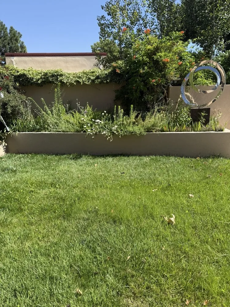 Affordable lawn care service in Albuquerque, NM by Red Shovel Landscape