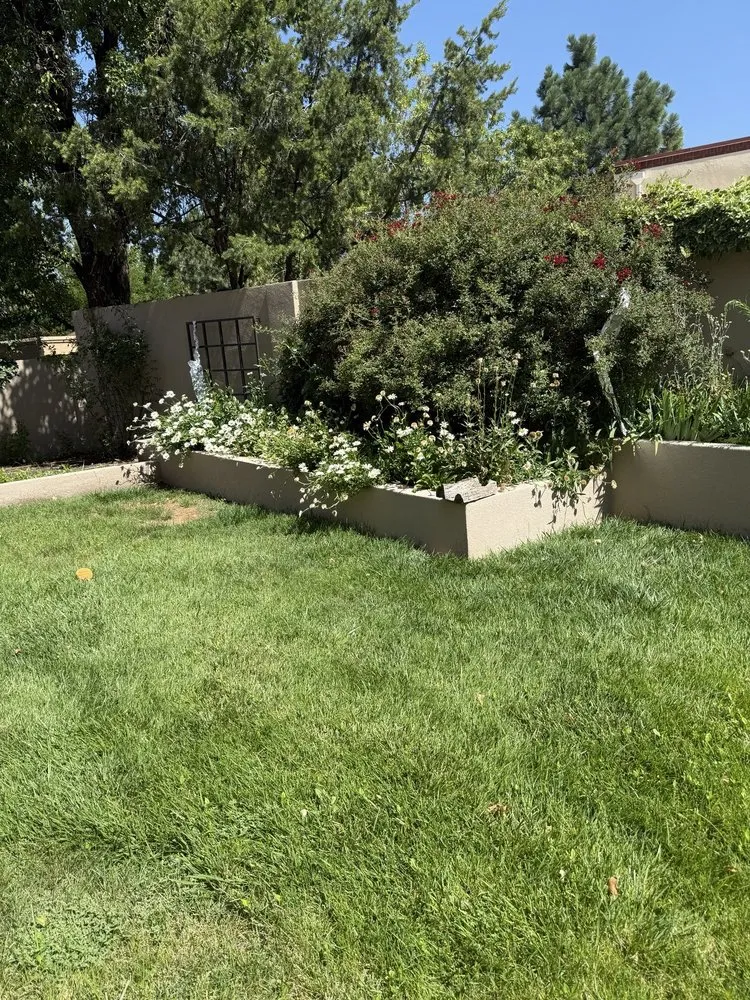 Professional residential landscaping experts serving Albuquerque, NM - Red Shovel Landscape
