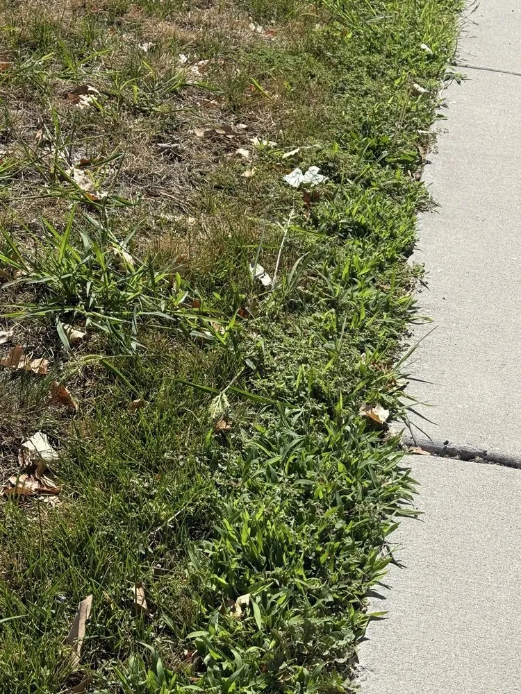 Affordable yard cleanup service experts serving Albuquerque, NM - Red Shovel Landscape