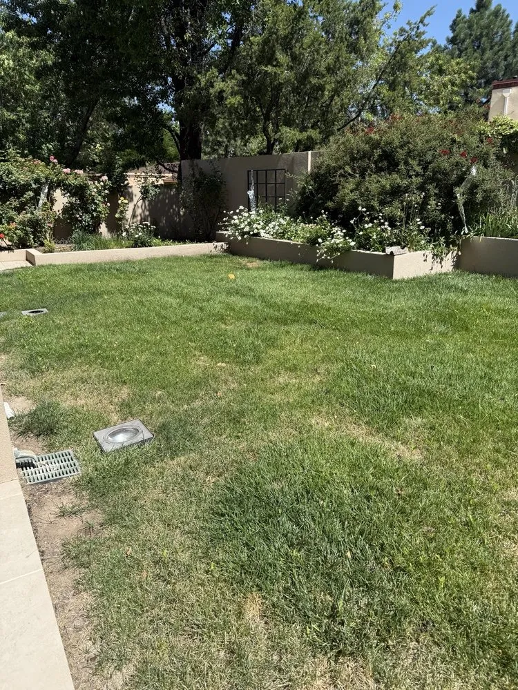 Top-rated residential landscaping for beautiful yards across Albuquerque, NM - Red Shovel Landscape