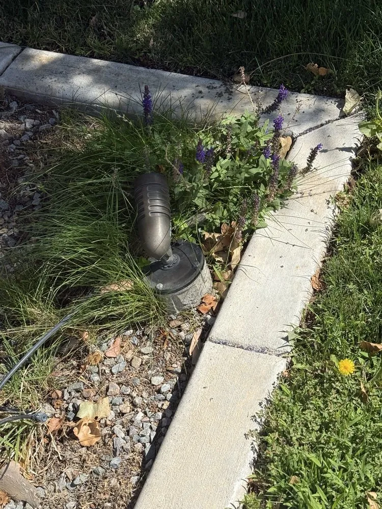 Local yard maintenance near you in Albuquerque, NM by Red Shovel Landscape