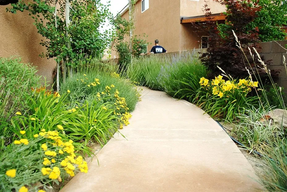 Affordable yard cleanup service with custom design in Albuquerque, NM by Red Shovel Landscape