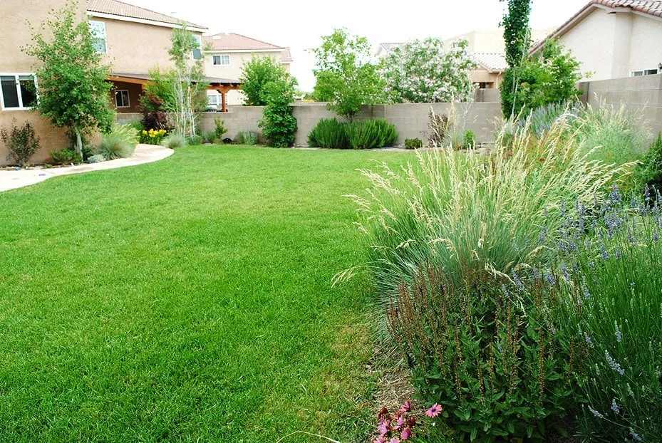 Expert landscape design with custom design in Albuquerque, NM by Red Shovel Landscape