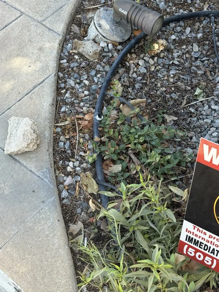 Top-rated landscape design in Albuquerque, NM by Red Shovel Landscape