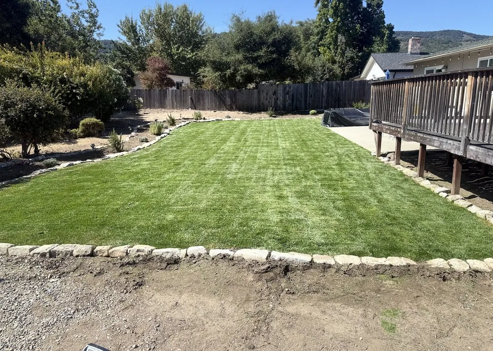 Expert yard cleanup service in Salinas, CA by Red Spade Land Management