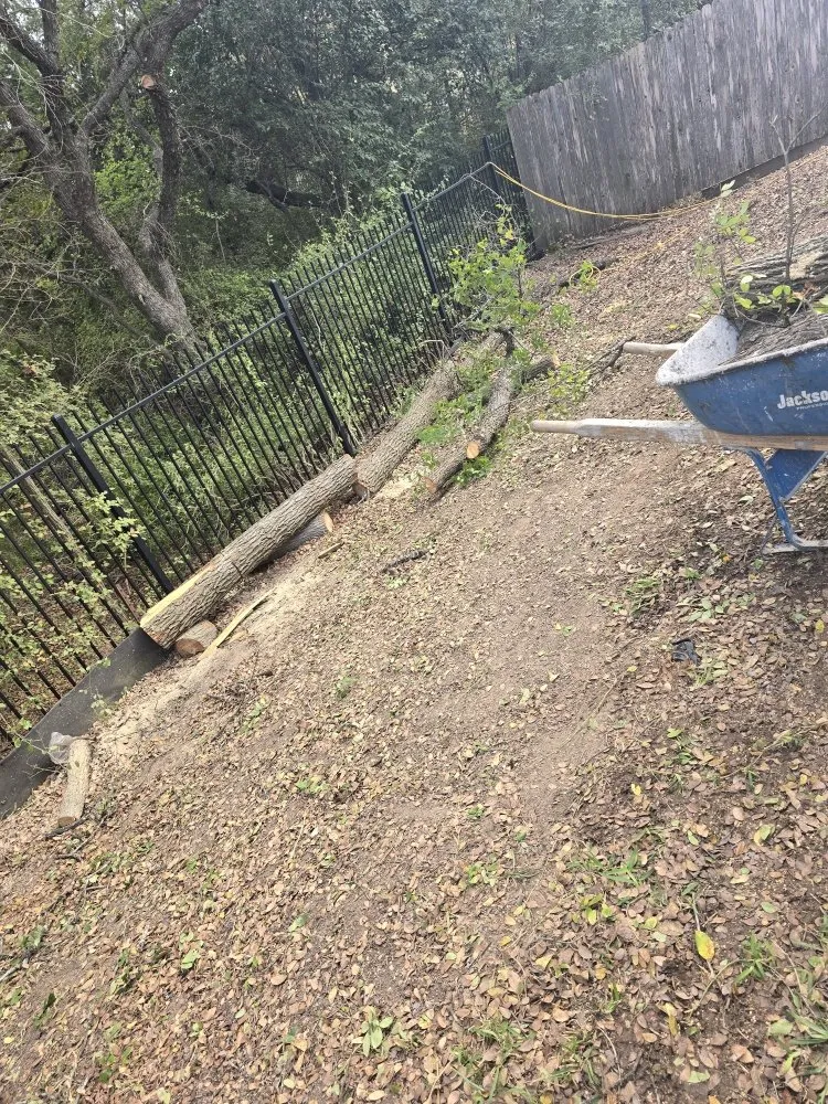 Top-rated lawn care service for residential properties in Jarrell, TX by Red Tip Landscaping