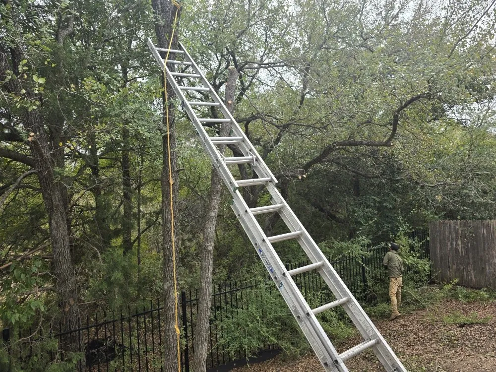 Trusted lawn care service experts serving Jarrell, TX - Red Tip Landscaping