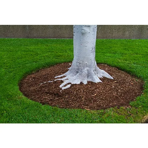 Custom garden landscaping experts serving Cartersville, GA - Red Top Lawn Care