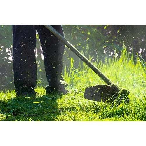 Expert yard cleanup service for homes in Cartersville, GA by Red Top Lawn Care