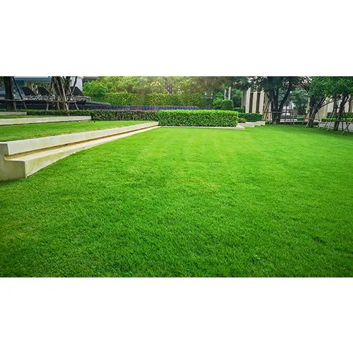 Expert yard cleanup service in Cartersville, GA by Red Top Lawn Care