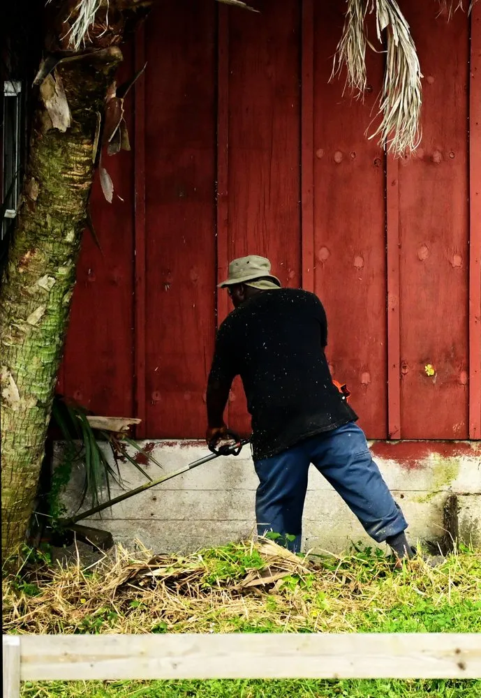 Reliable garden landscaping for homes in Richmond, CA by Red Tree Landscaping