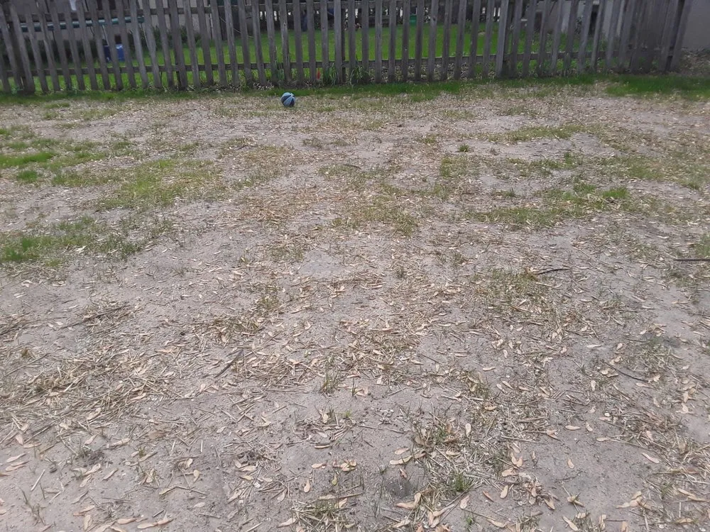 Professional yard cleanup service for residential properties across Portage, MI - Red Truck Landscaping