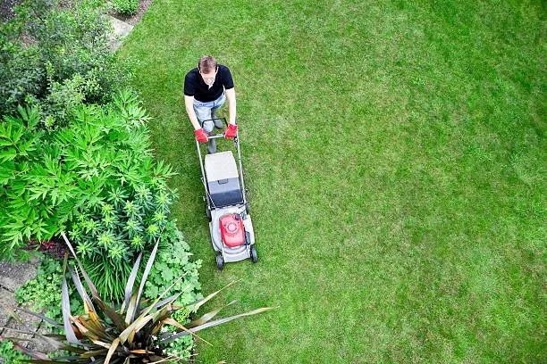 Local landscaping services experts serving Russellville, AR - Red Truck Lawn care