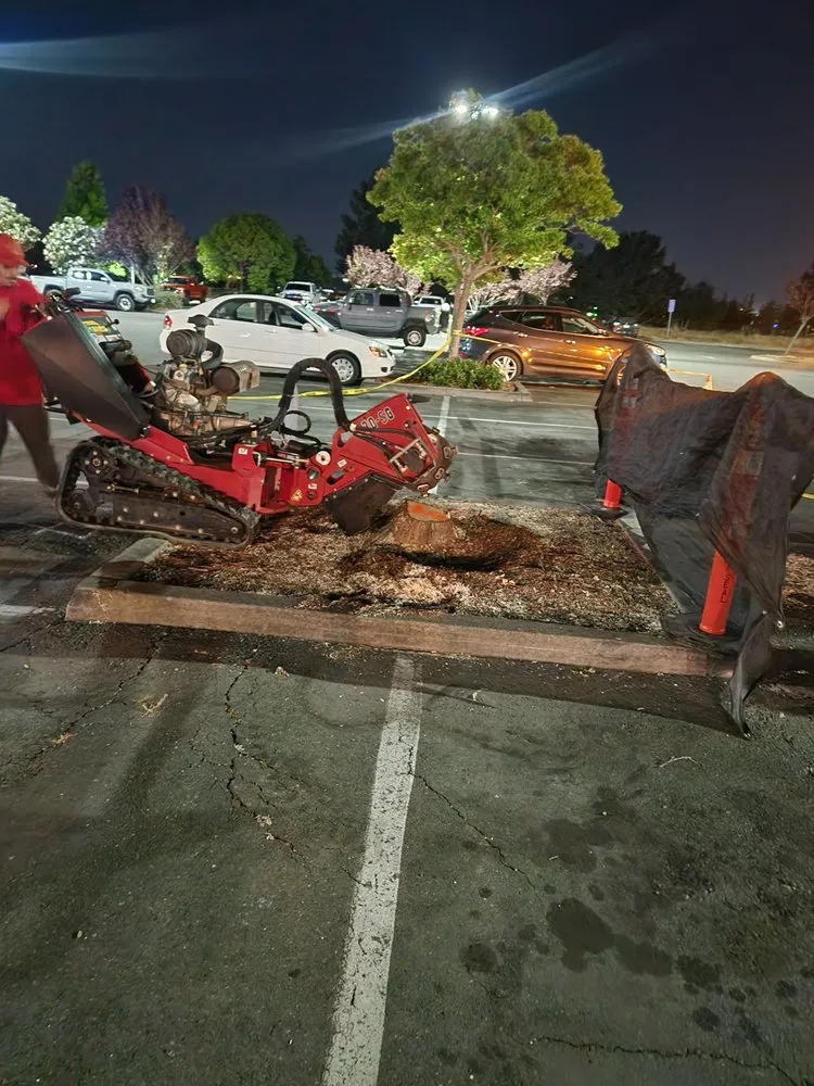 Custom residential landscaping in Windsor, CA by Red Vino Landscape