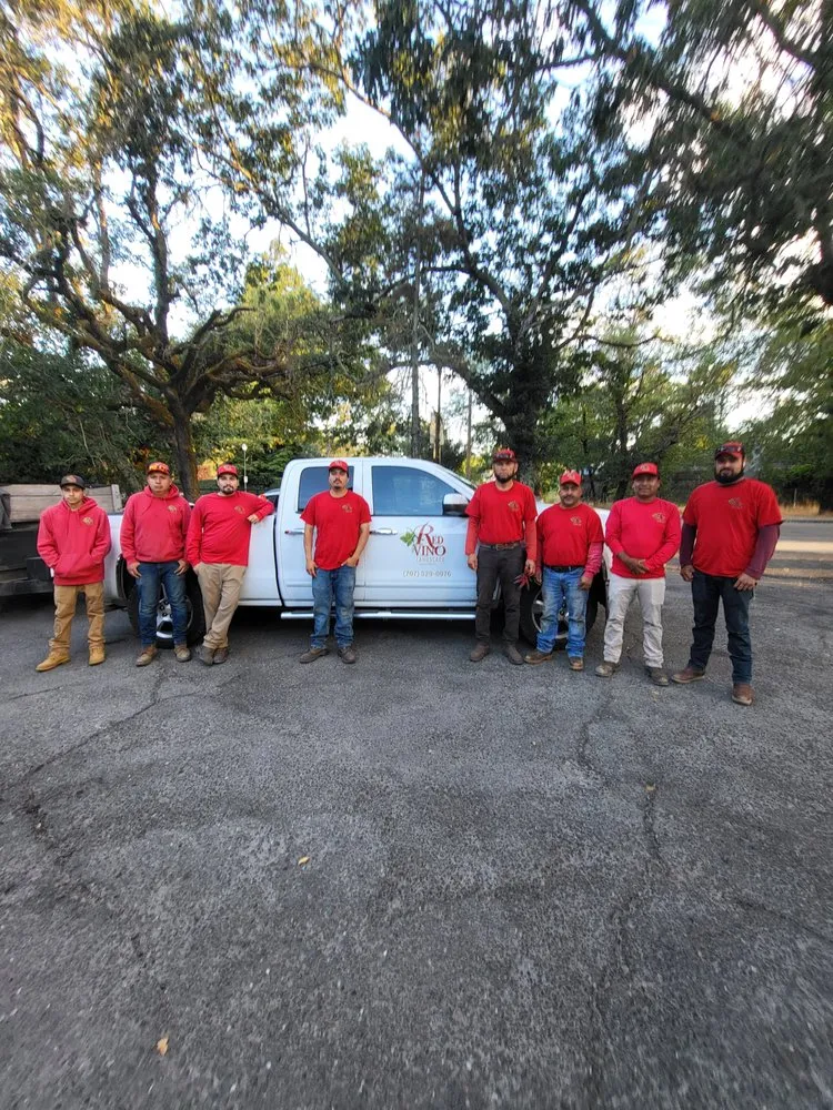 Top-rated lawn mowing service experts serving Windsor, CA - Red Vino Landscape