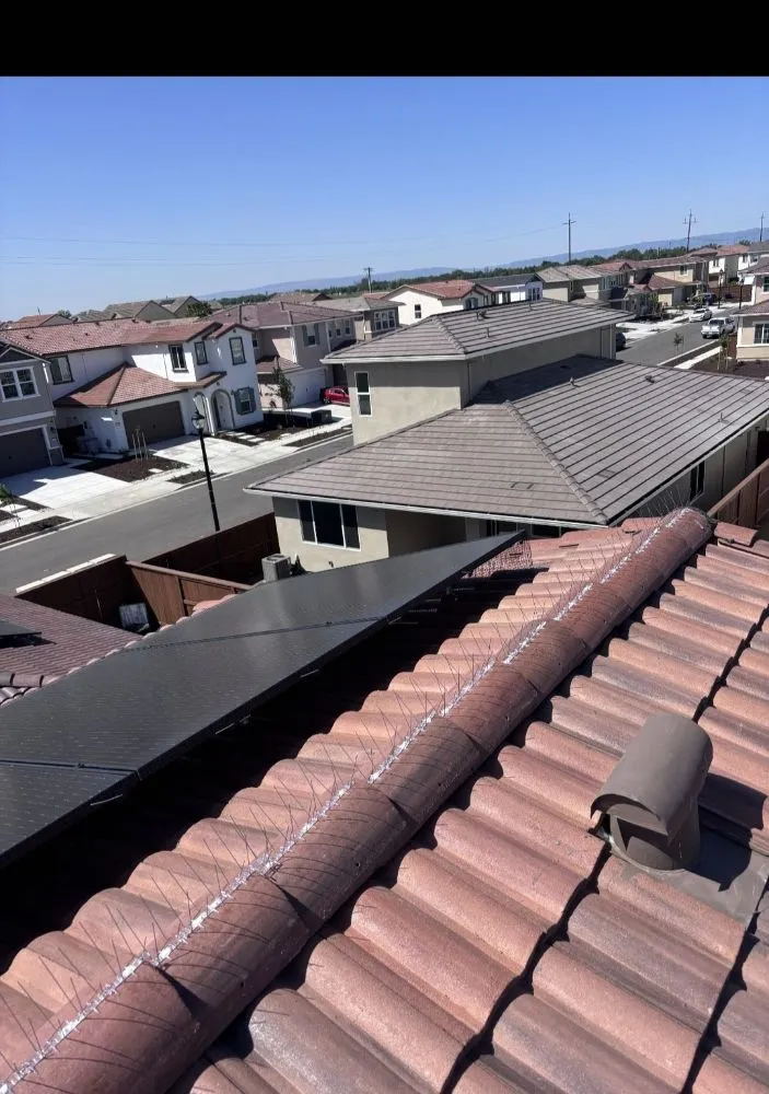 Local landscape installation in Yuba City, CA by Red, White, And Clean Property Services