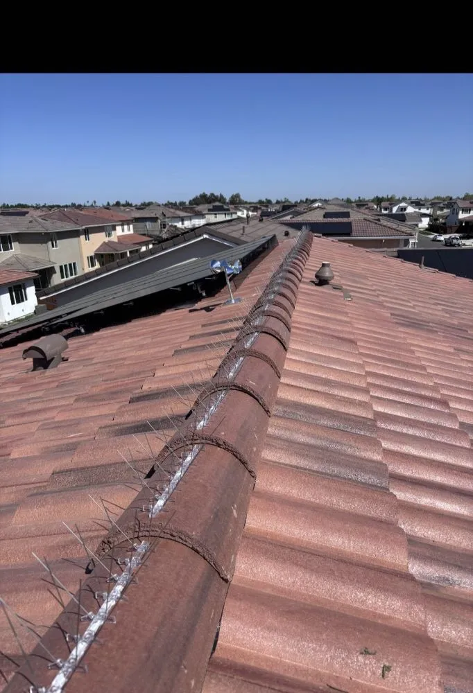 Reliable residential landscaping for year-round maintenance across Yuba City, CA - Red, White, And Clean Property Services