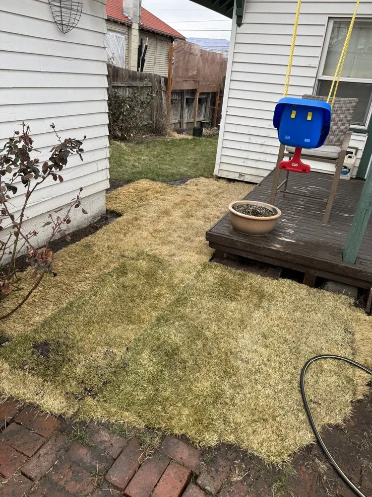 Professional yard maintenance in Wenatchee, WA - Red Widow