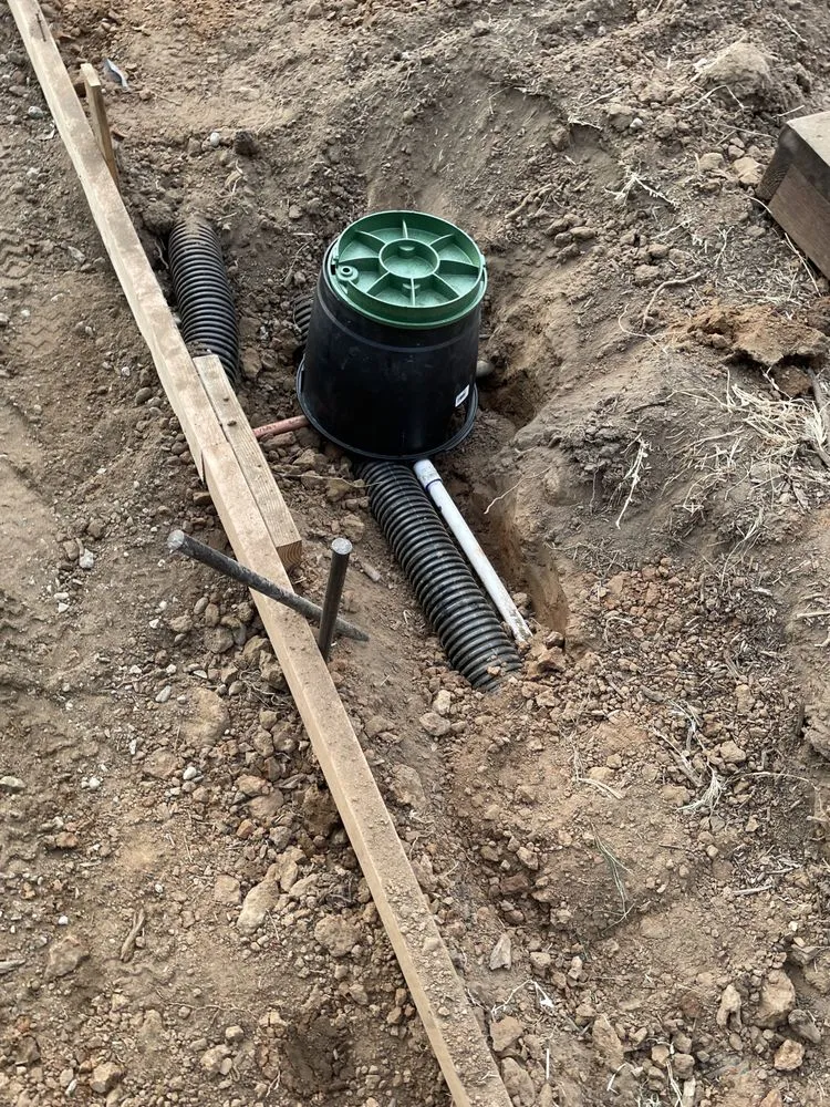 Local lawn care service for year-round maintenance across Carmichael, CA - Red Willow Landscaping