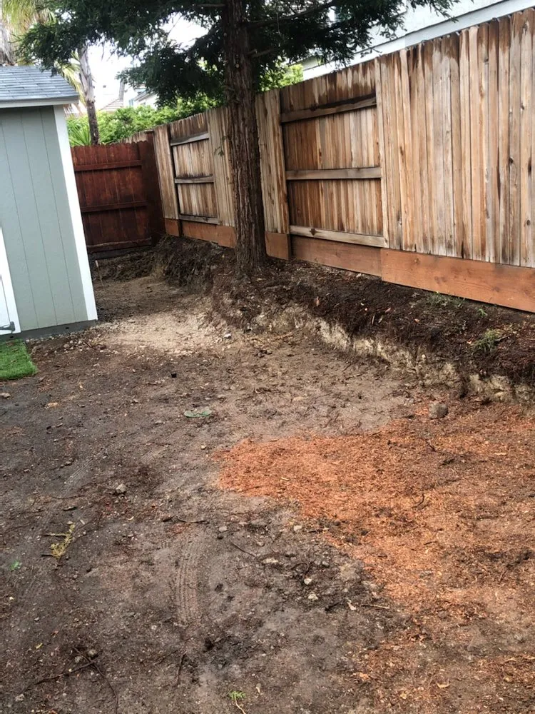 Top-rated lawn mowing service in Carmichael, CA - Red Willow Landscaping