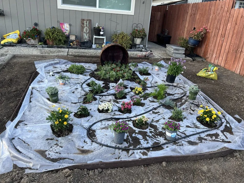 Reliable yard maintenance for residential properties across Carmichael, CA - Red Willow Landscaping