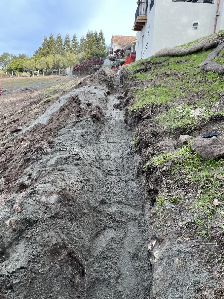 Professional landscaping services experts serving Petaluma, CA - Red Wine Landscaping & Construction