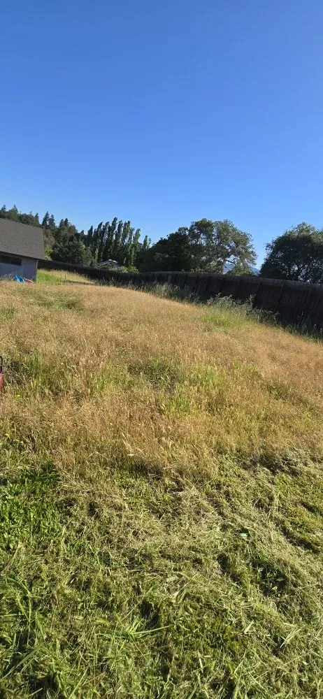 Professional residential landscaping in Petaluma, CA - Red Wine Landscaping & Construction