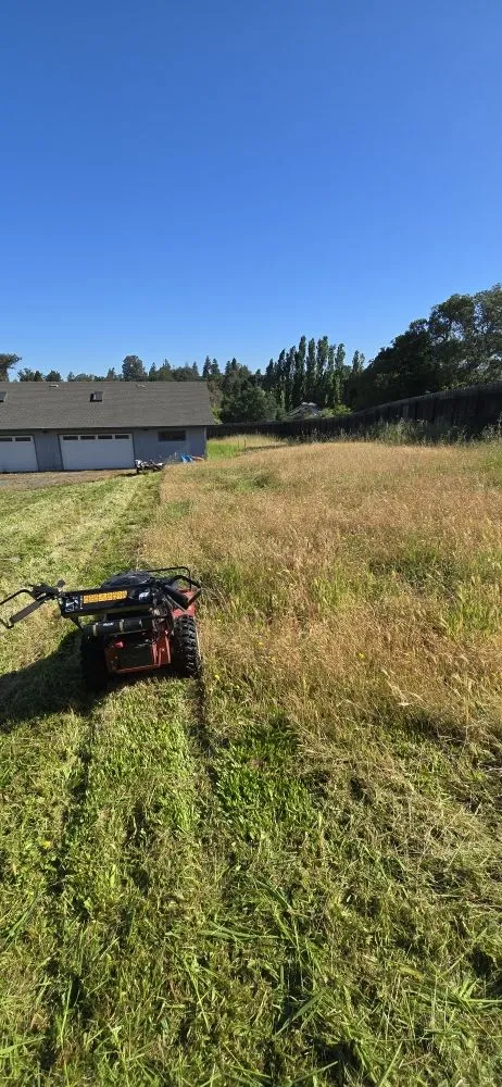 Reliable landscape installation for beautiful yards in Petaluma, CA by Red Wine Landscaping & Construction