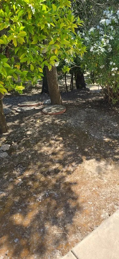 Top-rated yard maintenance for residential properties across Petaluma, CA - Red Wine Landscaping & Construction