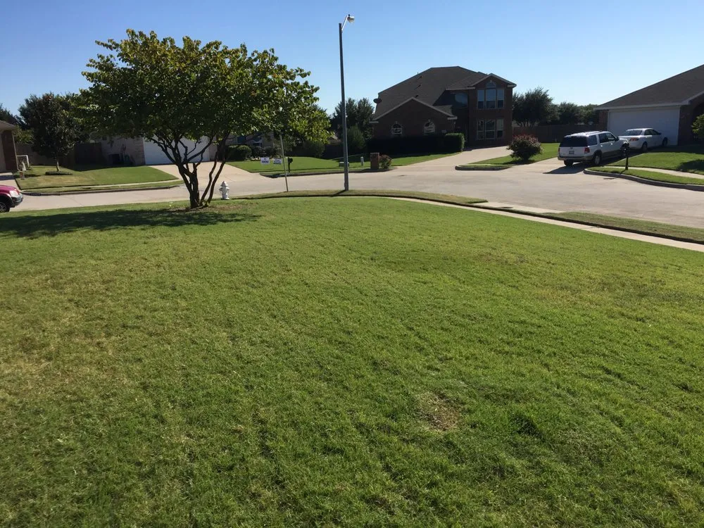 Custom landscaping services experts serving Benbrook, TX - Redbird Landscaping