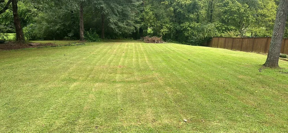 Trusted residential landscaping experts serving Marietta, GA - Redbird Landscaping