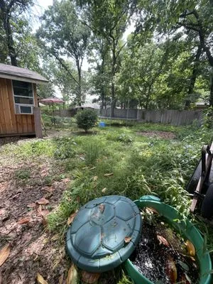 RedBird Mowning Service's